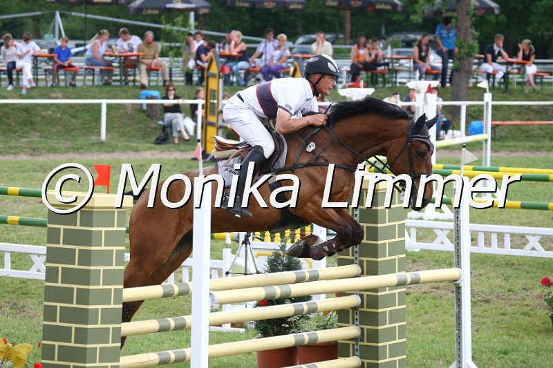 105M2562_Stardust Harry_Spring_L.JPG